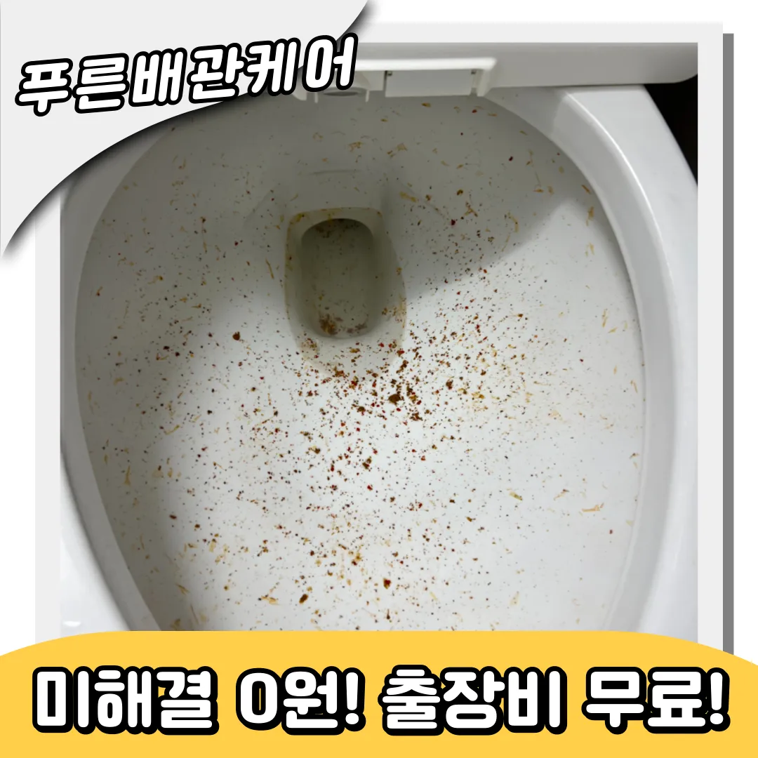 변기막힘