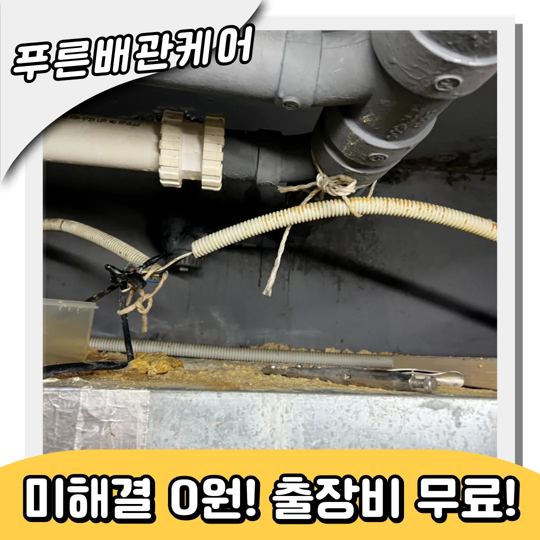 하수구역류