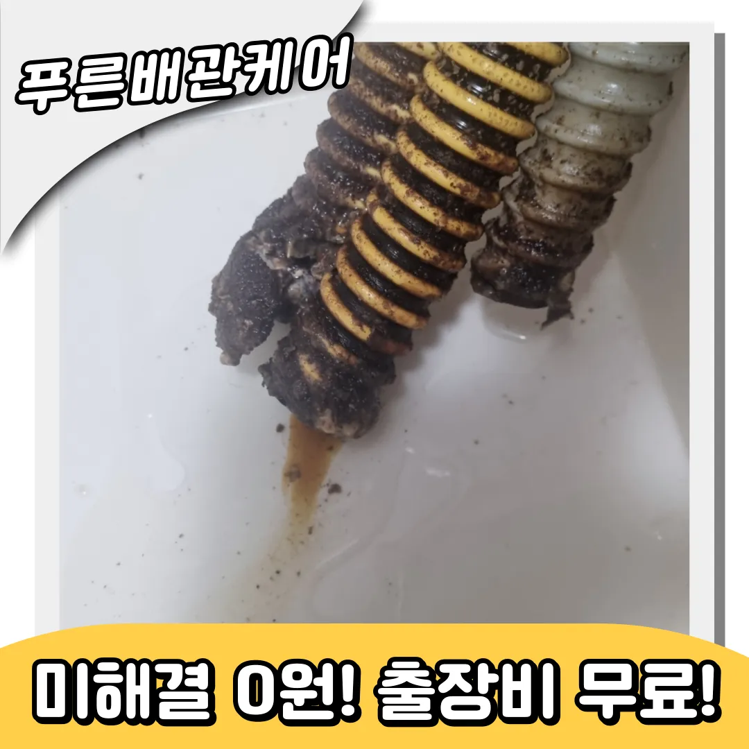 싱크대역류