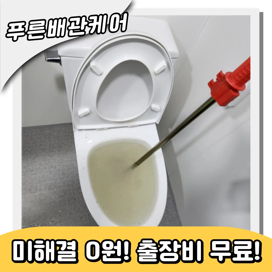변기역류