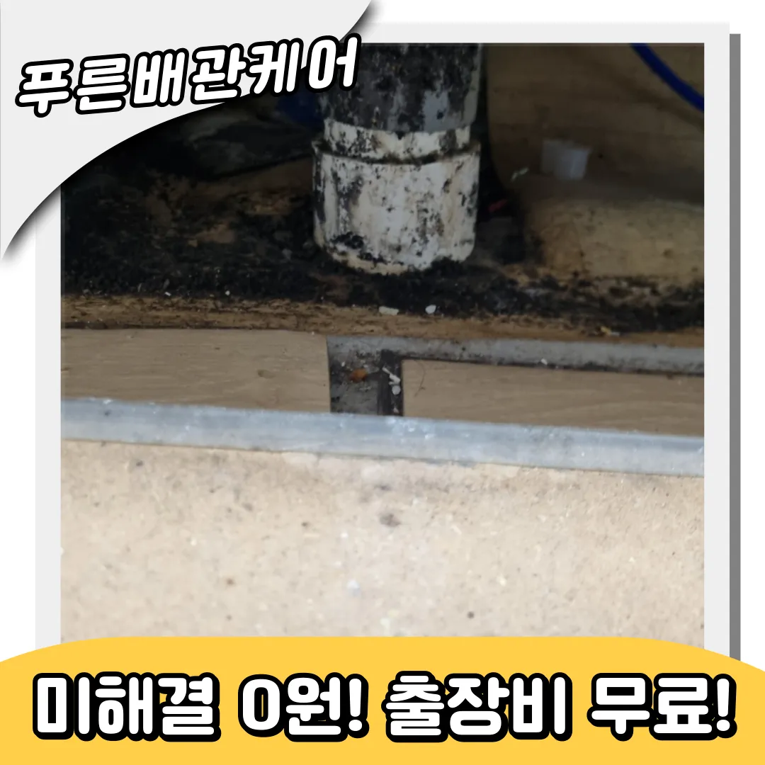 분당싱크대역류