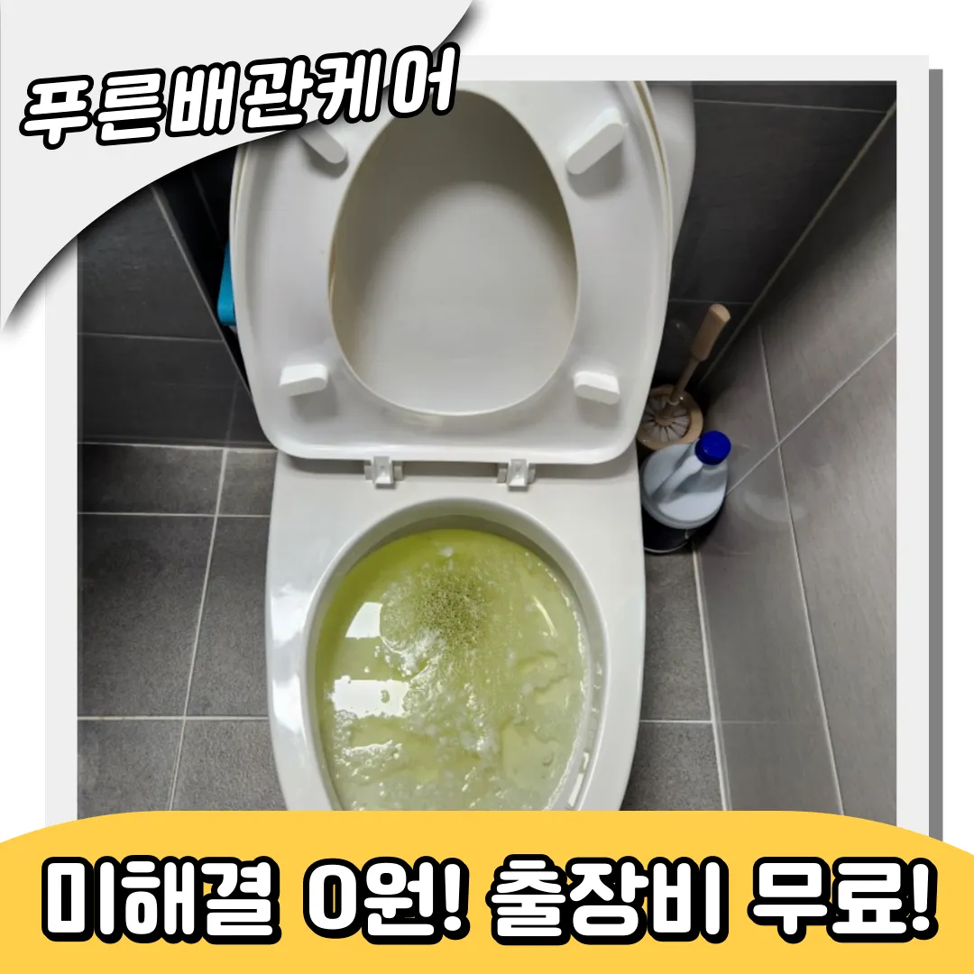 변기역류