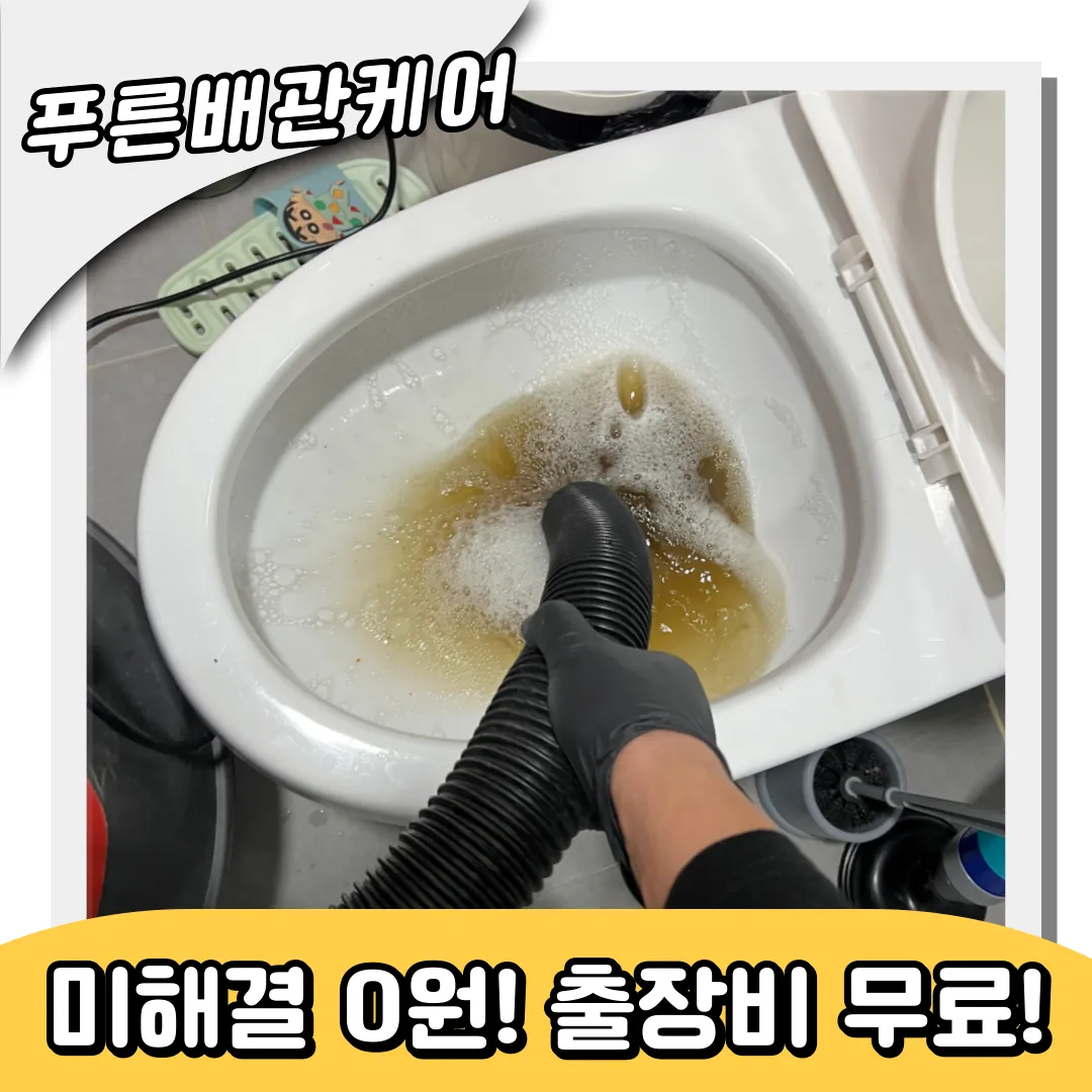 변기역류
