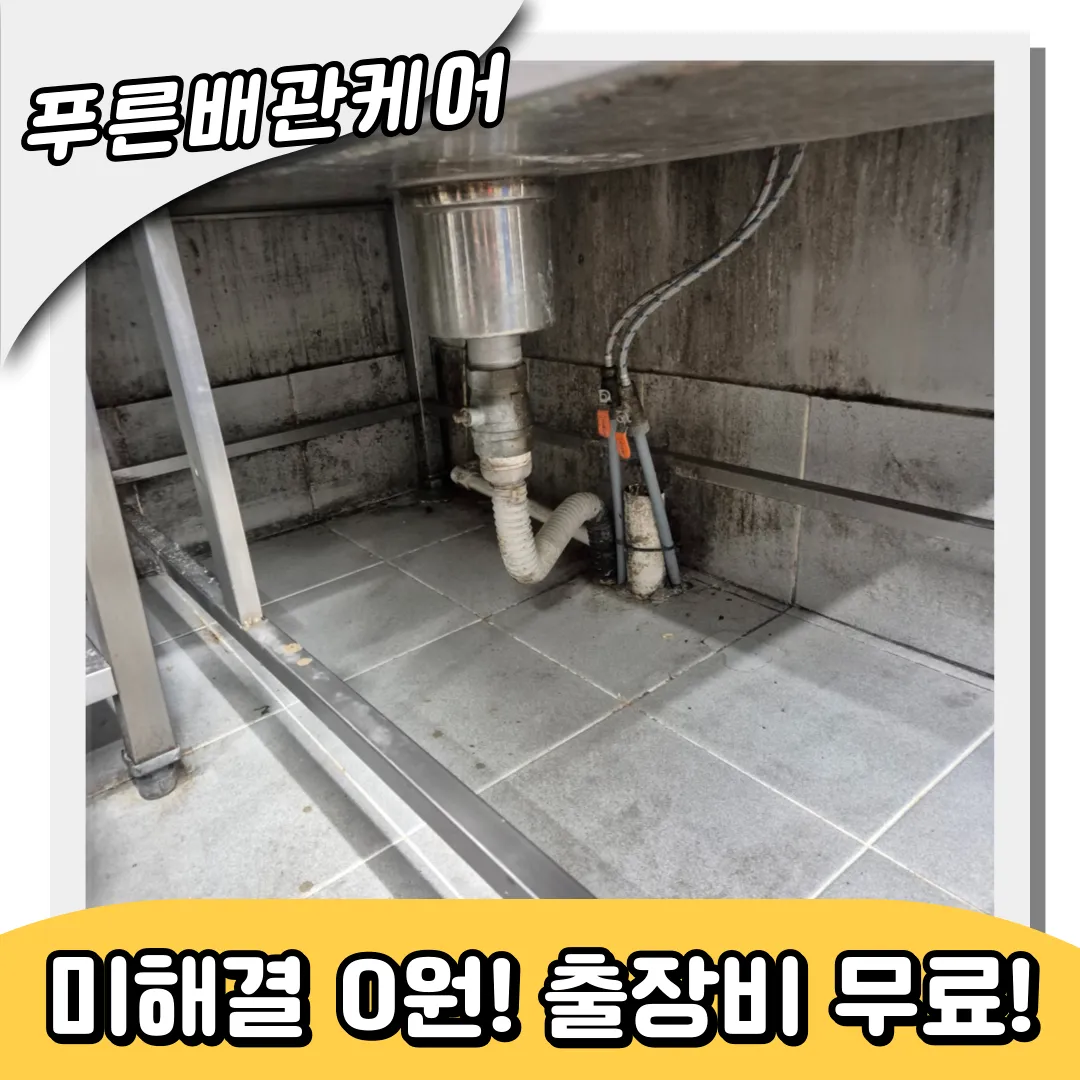 하수구역류해결