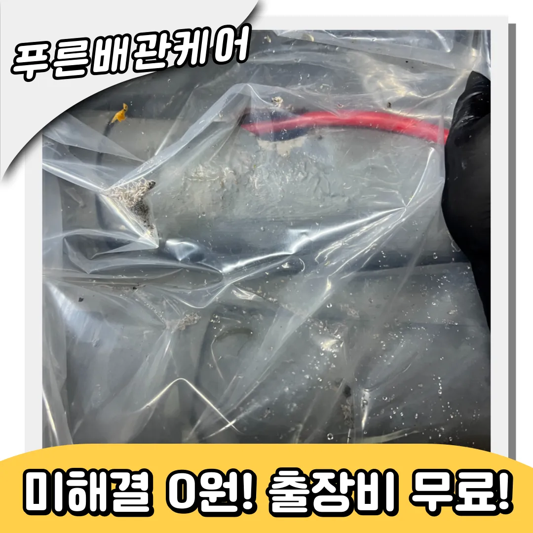 배수구역류
