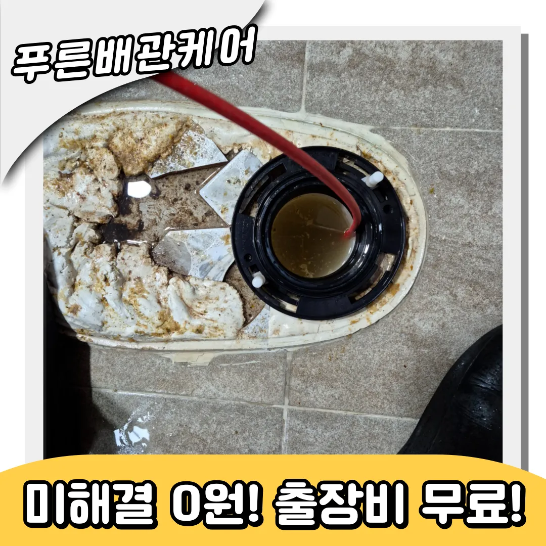 변기속음식물