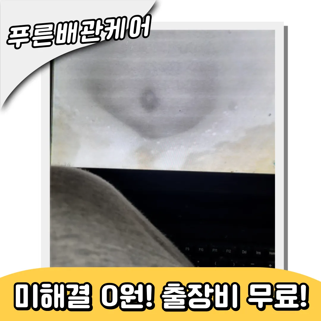 변기속이물질