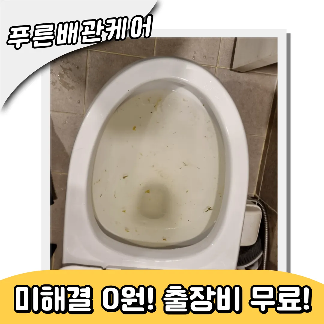 변기역류해결