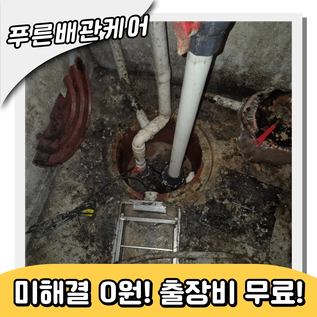 역삼동하수구역류