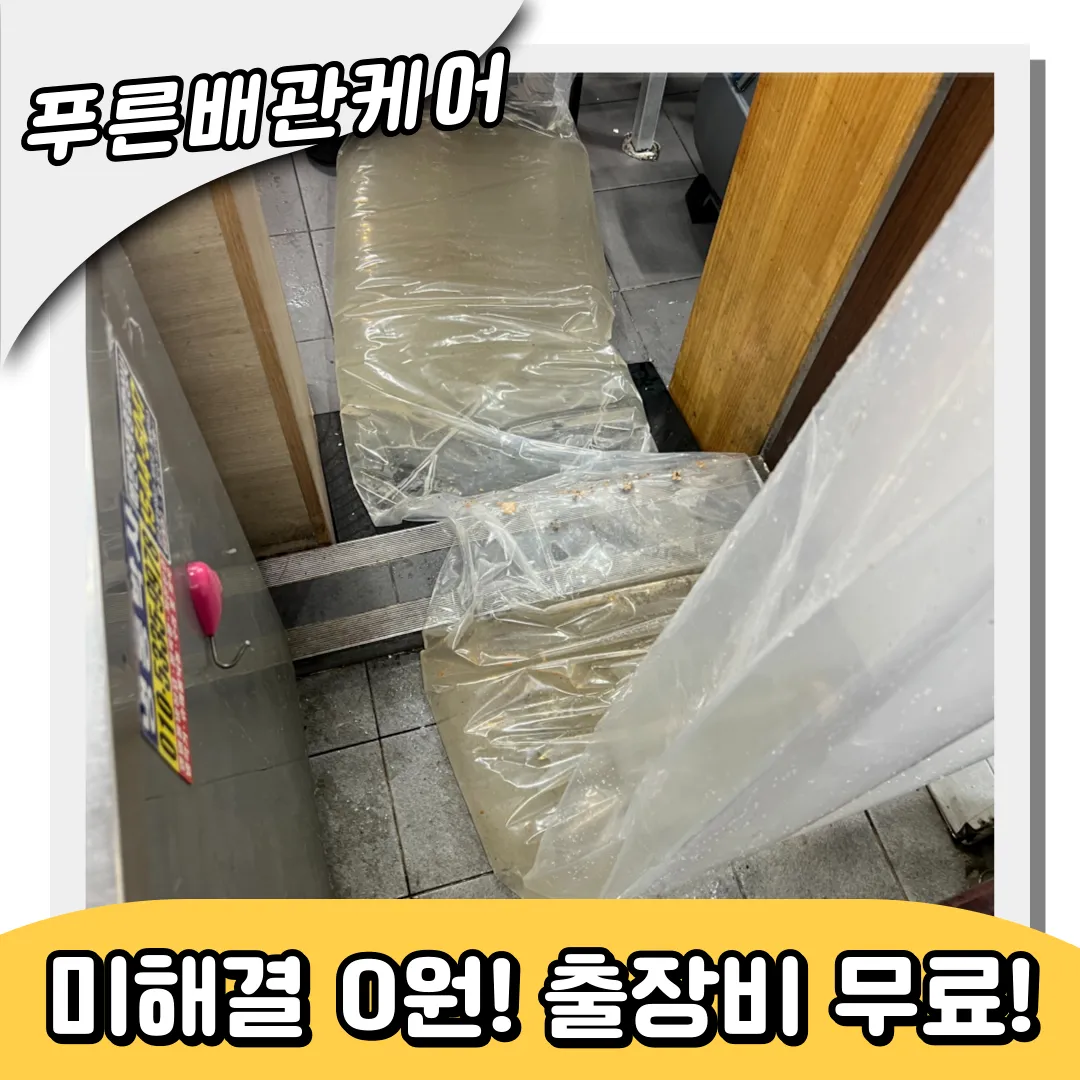 신월동하수구역류