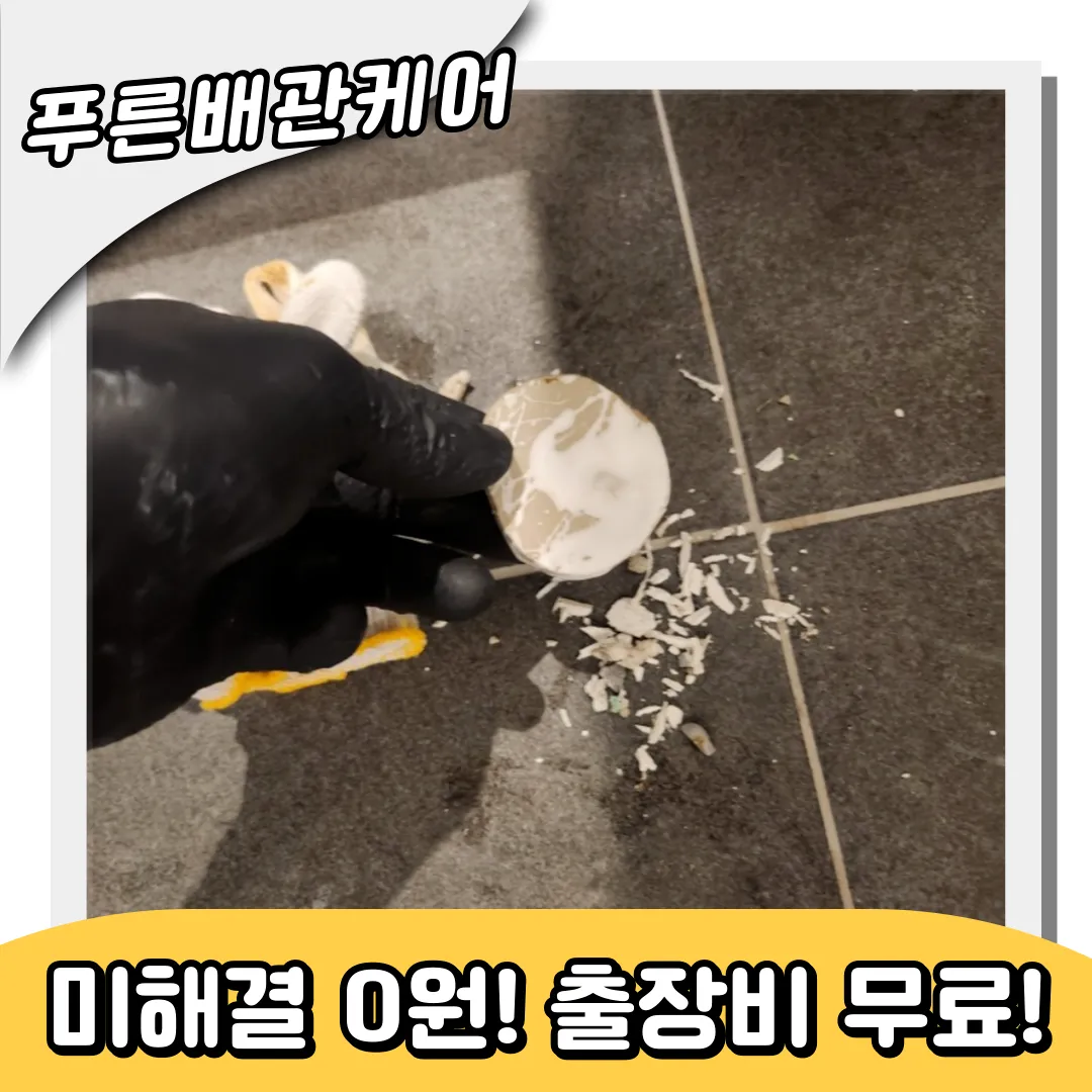 청학동변기막힘