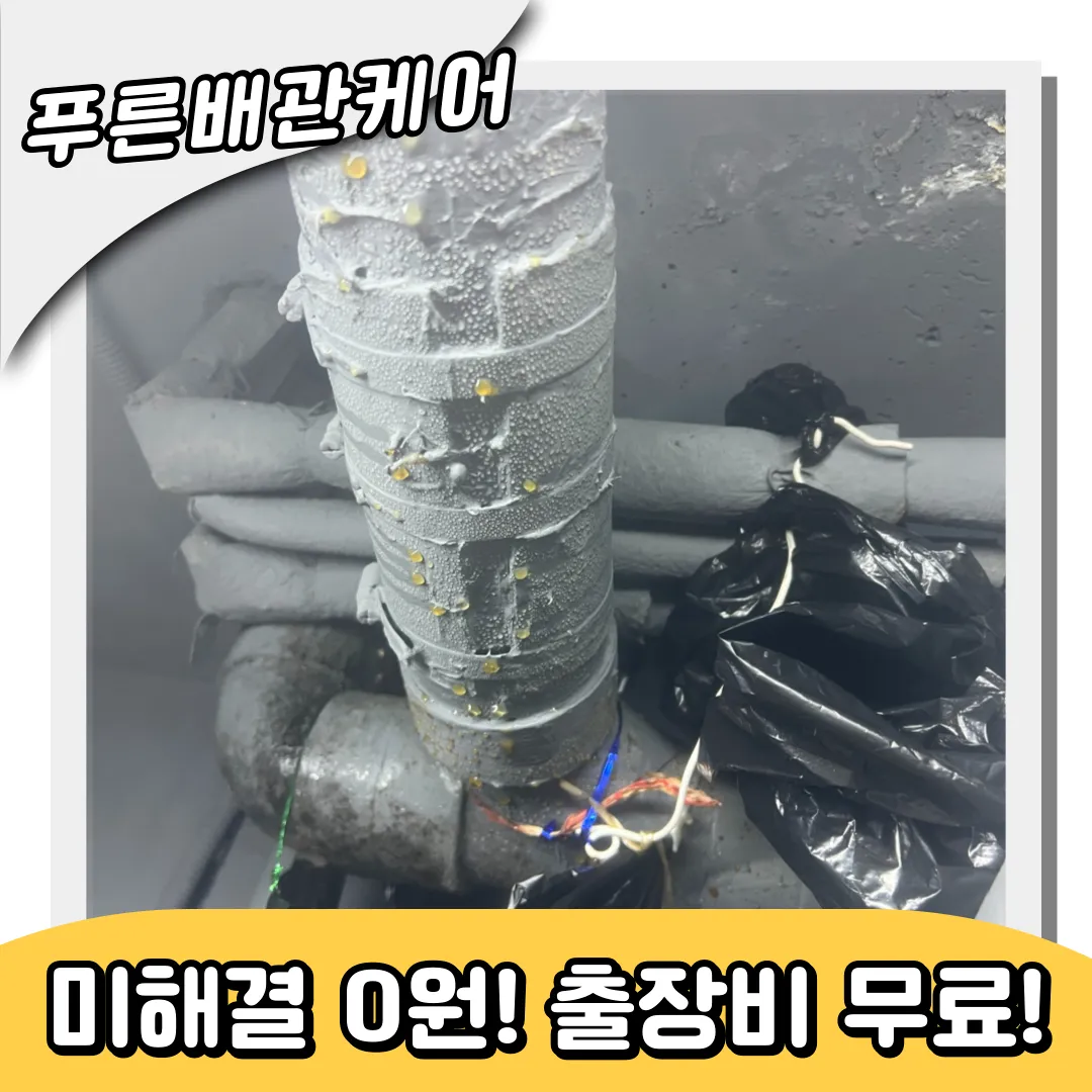 식사동싱크대역류