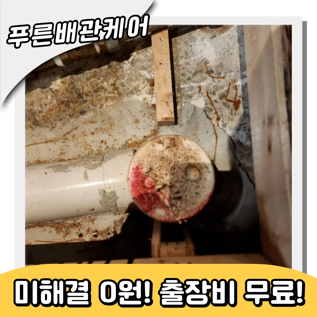 매화동하수구역류