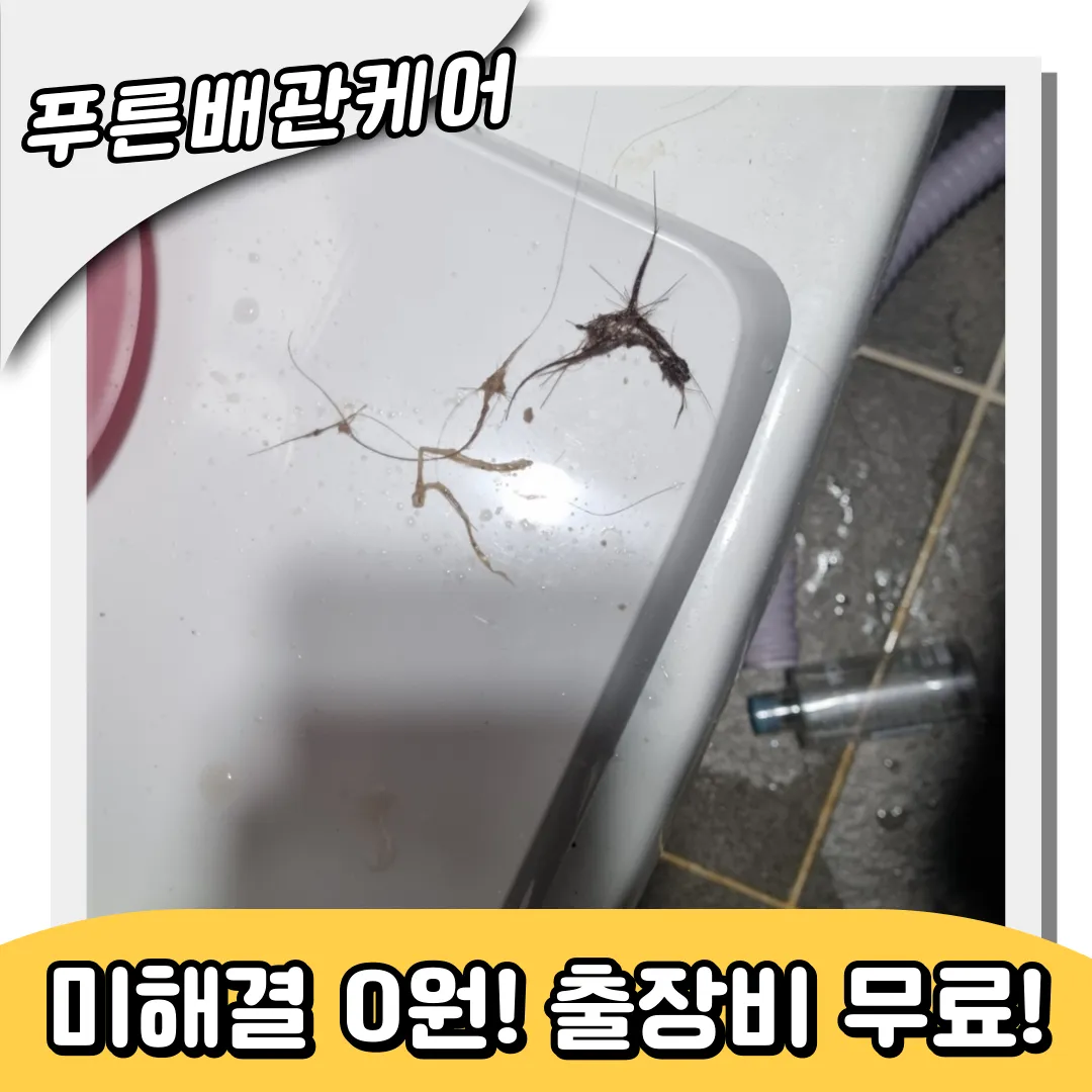 배곧동하수구막힘