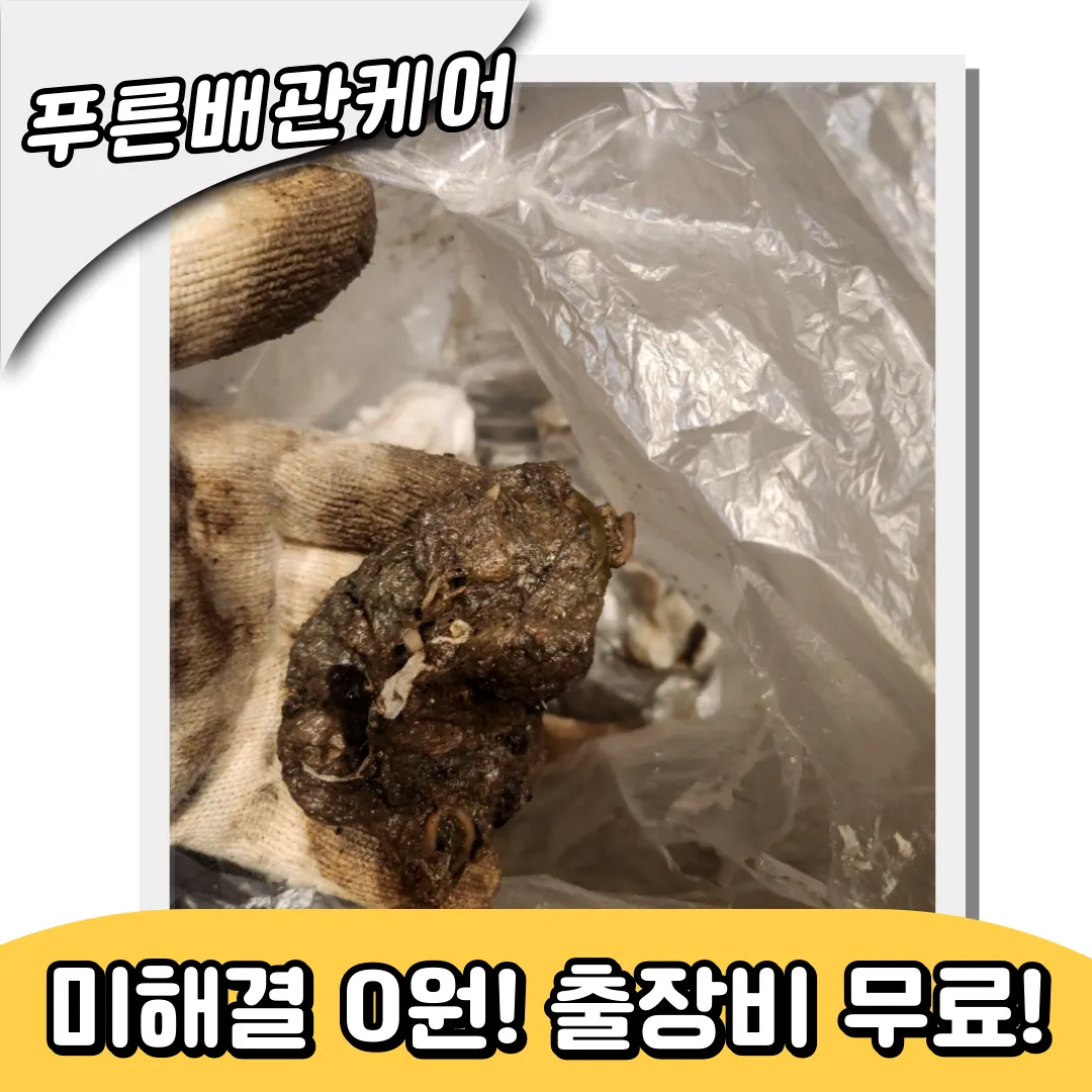 원문동싱크대막힘