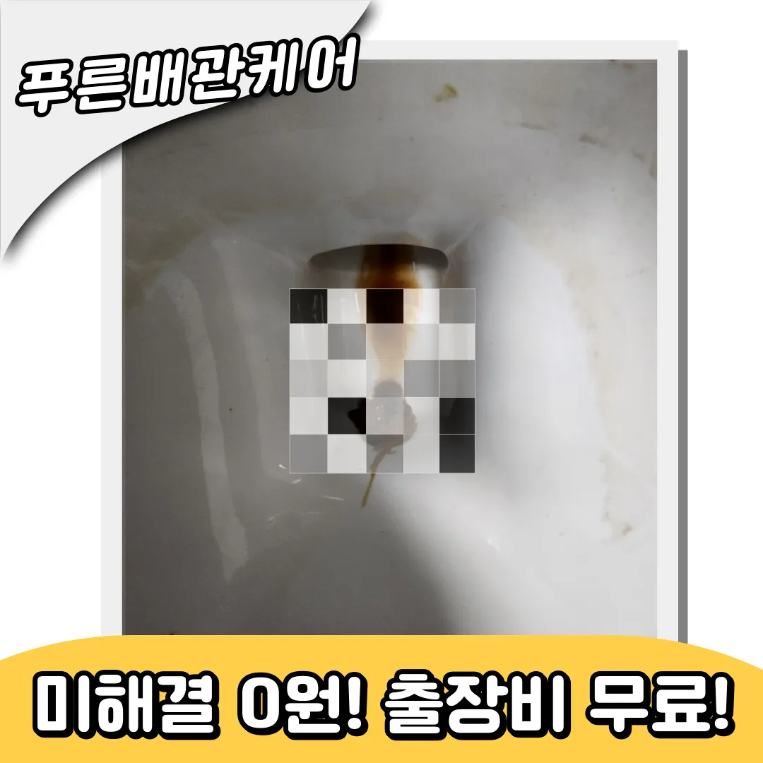 신사변기막힘