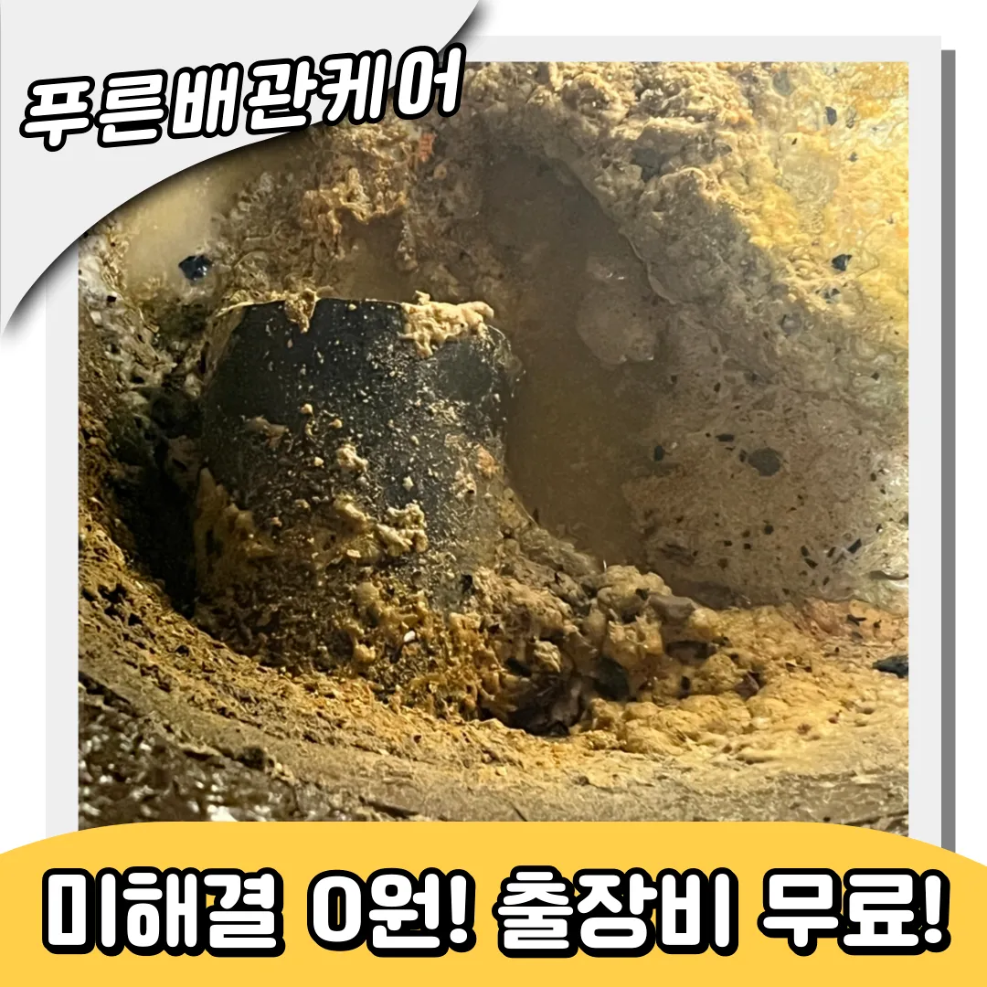 신월동하수구역류