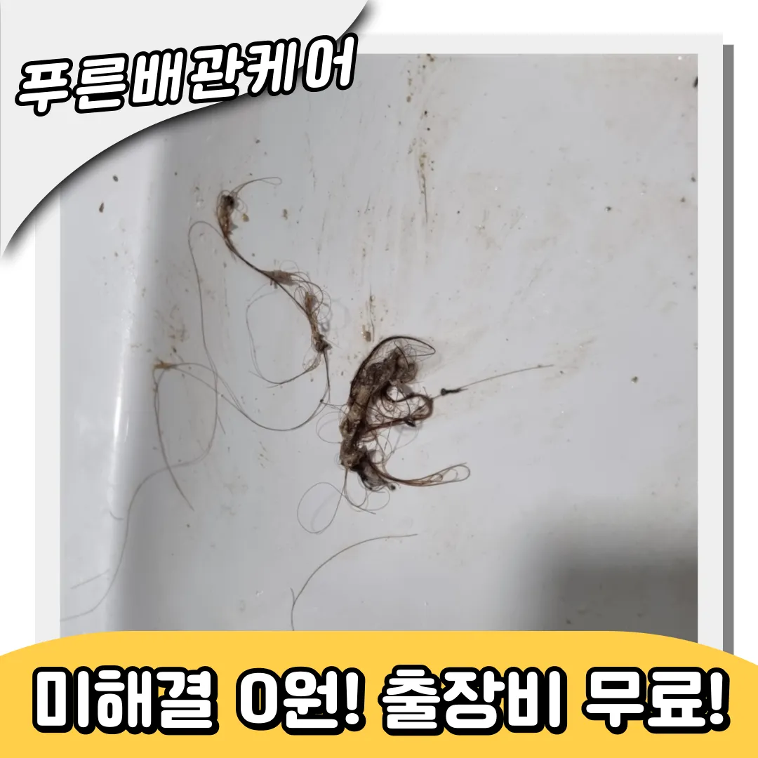 배곧동하수구막힘