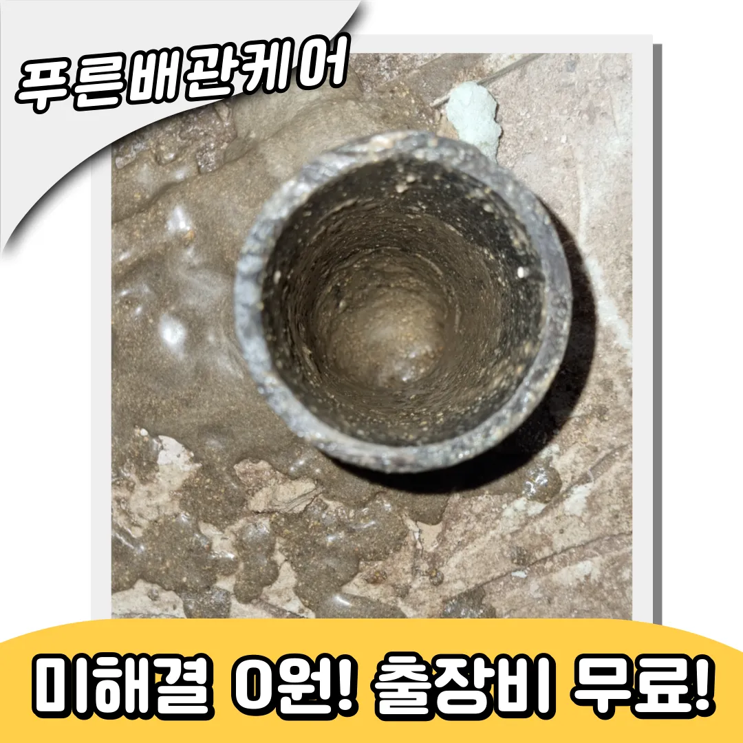 여주배관막힘
