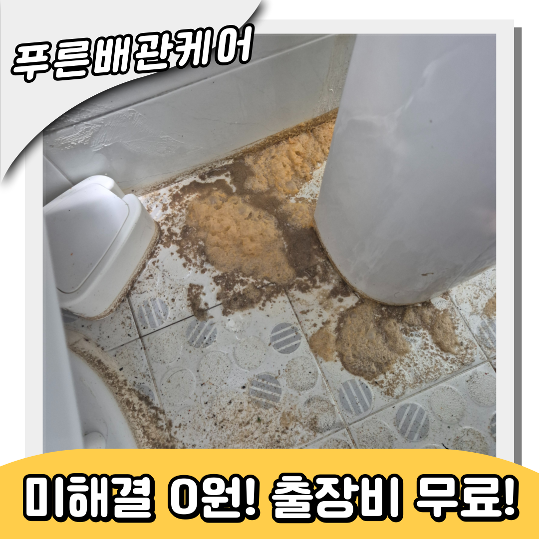 마곡동하수구역류