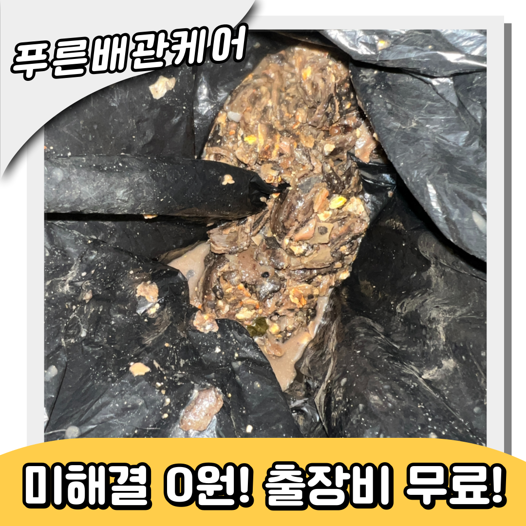 배관청소