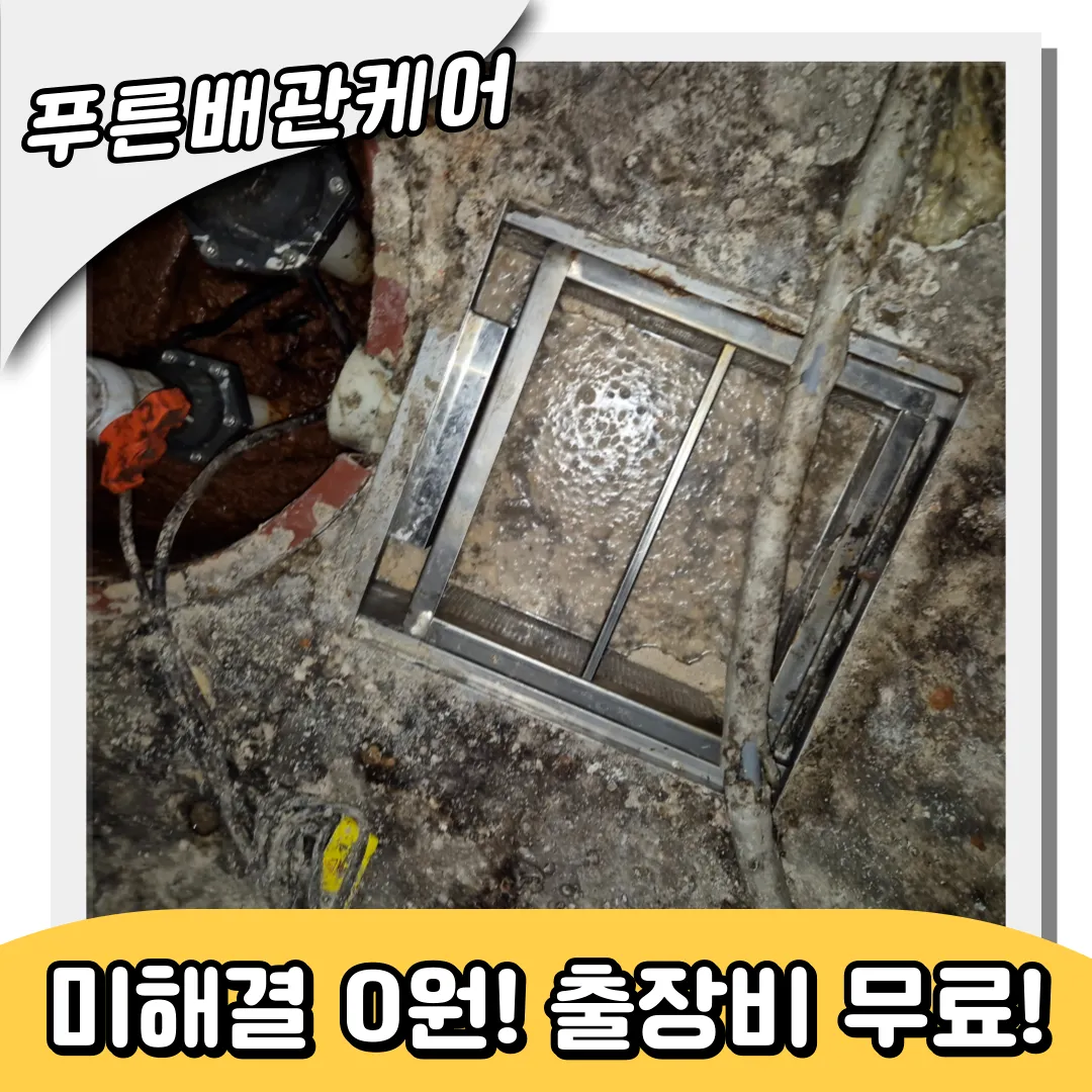 주방트렌치역류