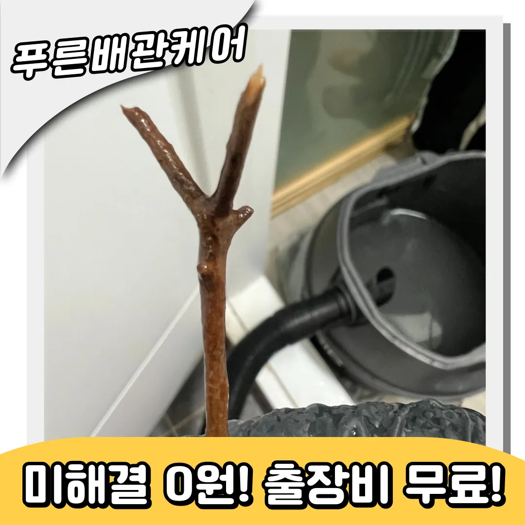 변기가막힌이유