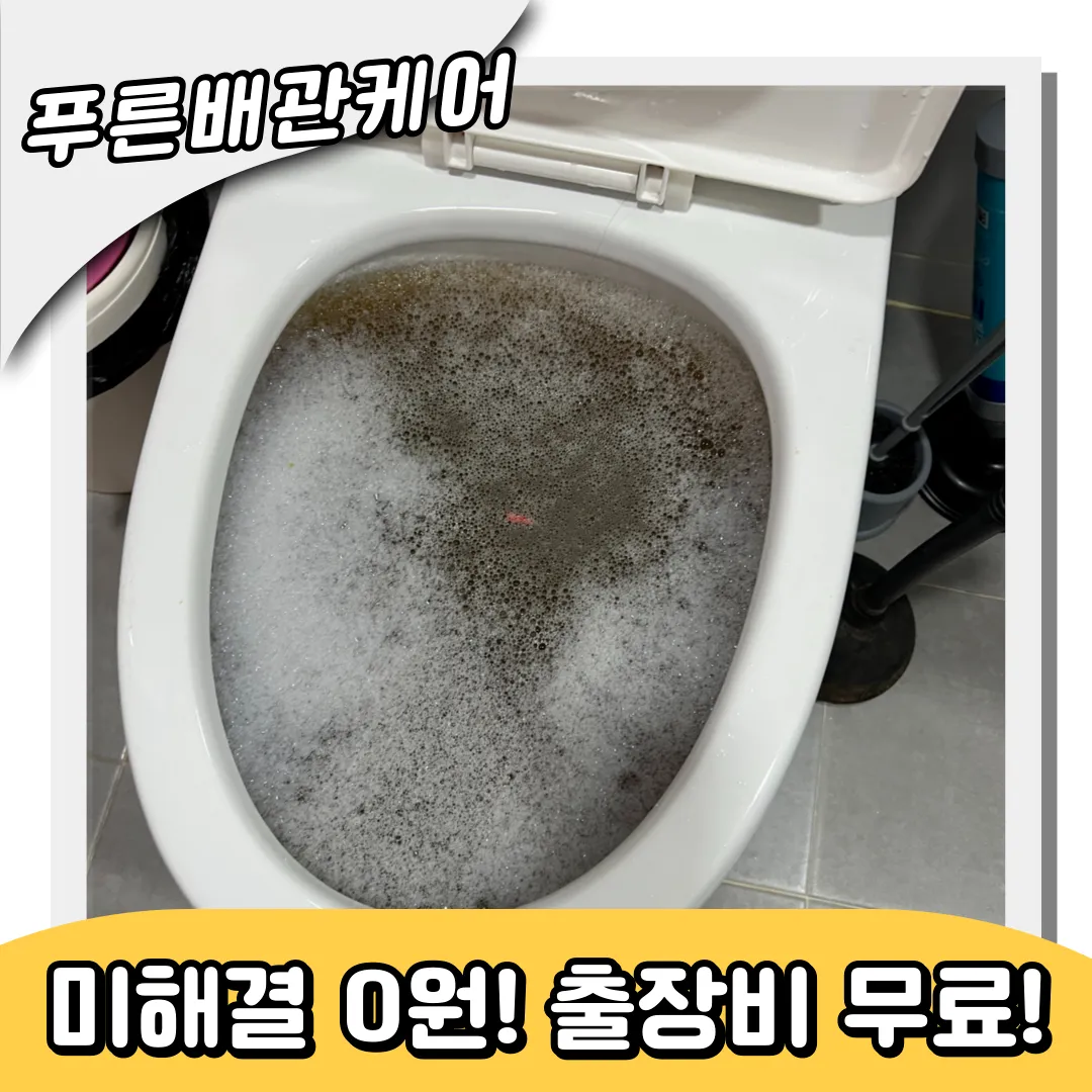 변기검은물