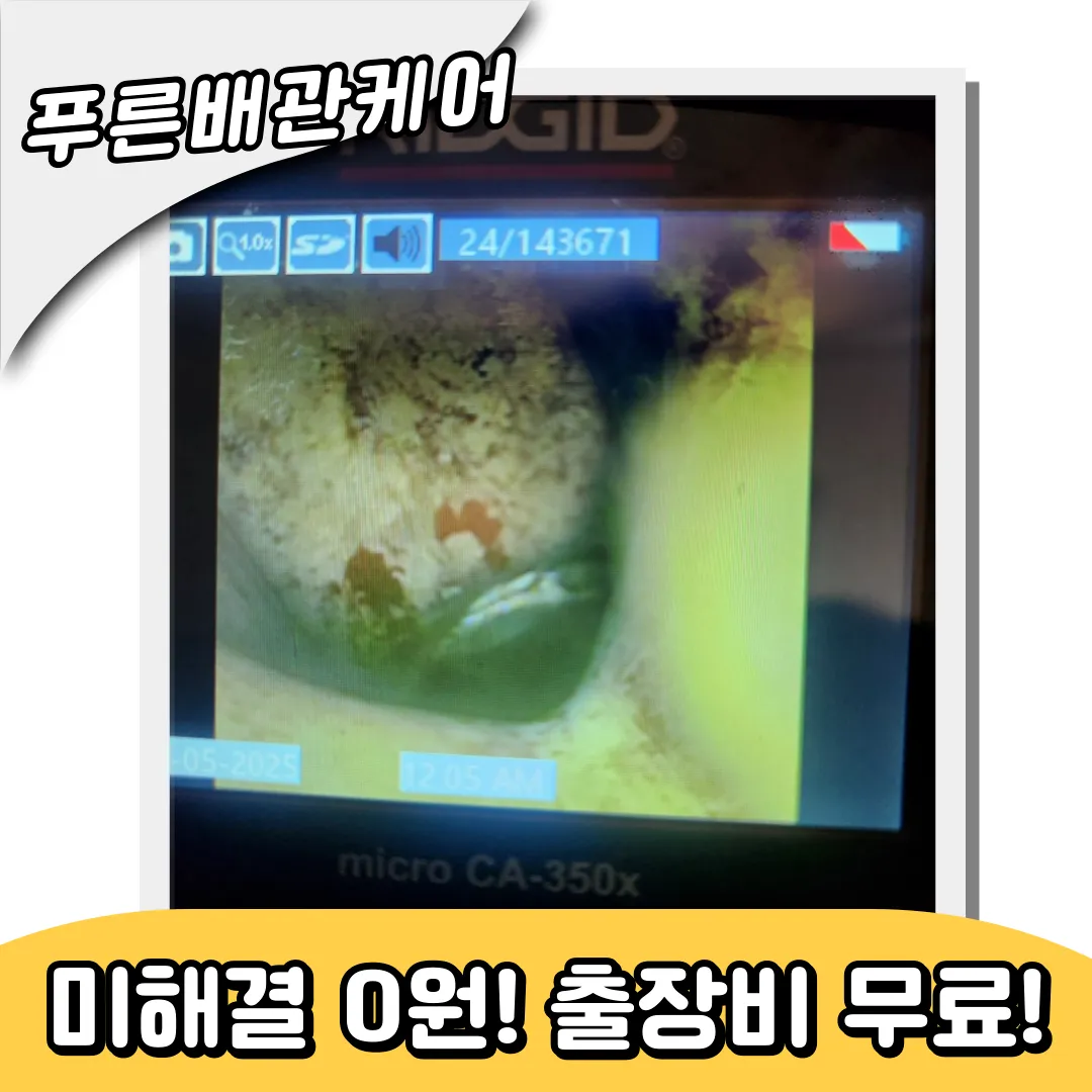 용현동변기막힘