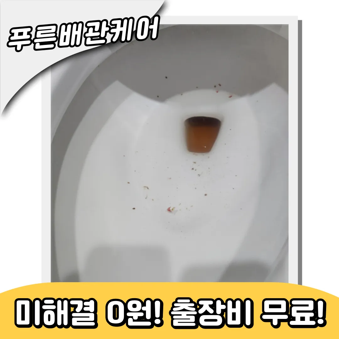 논현동변기막힘