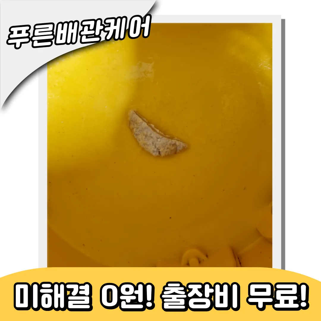 변기이물질제거