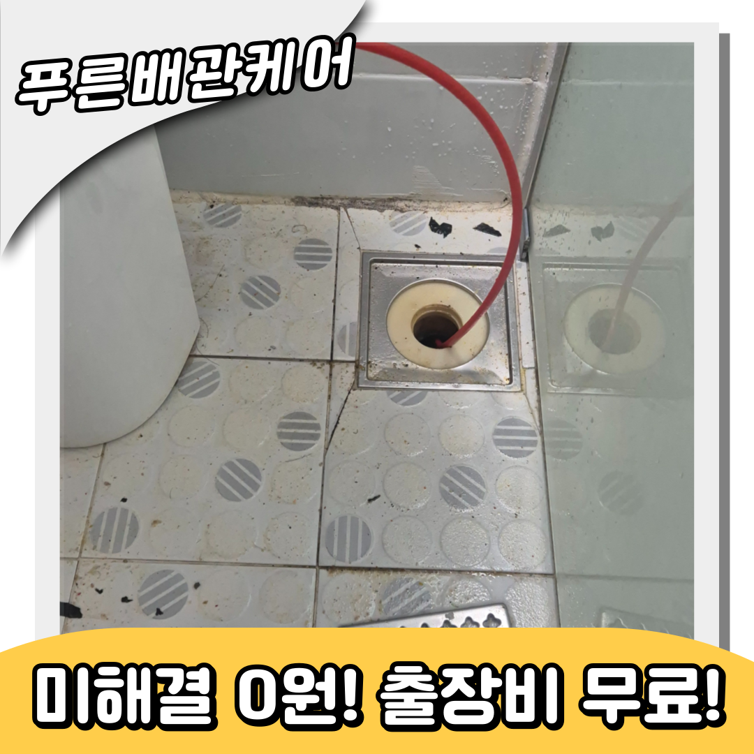 하수구역류해결