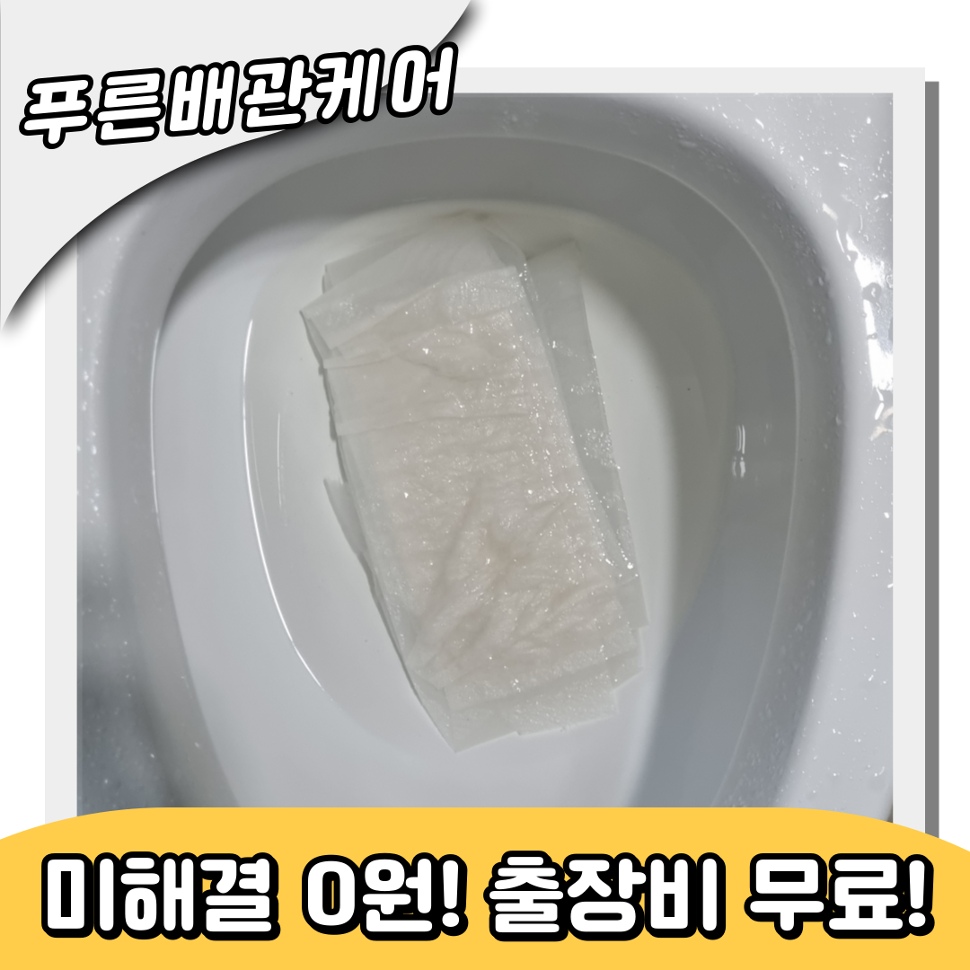 대변막힘해결