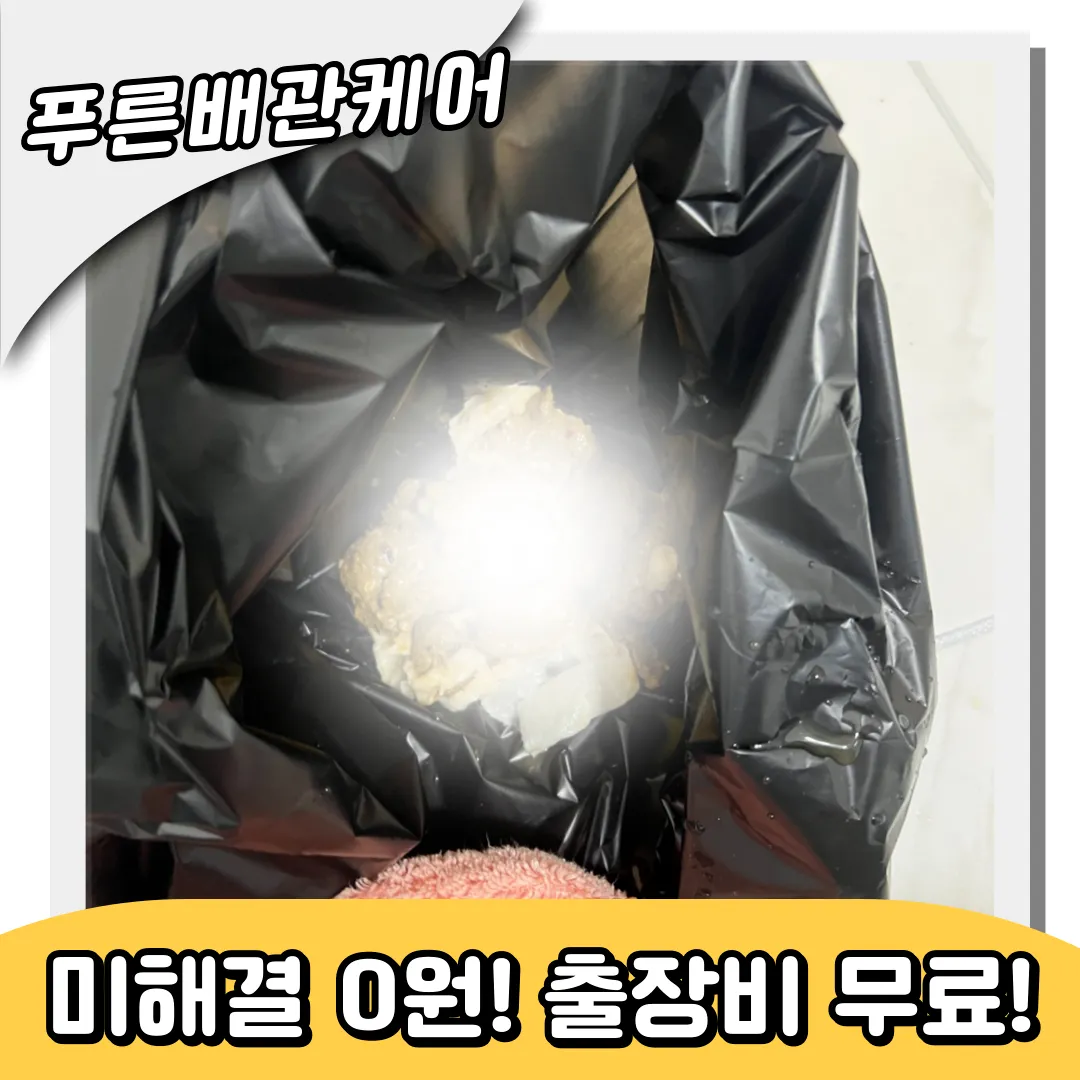 변기고양이모래