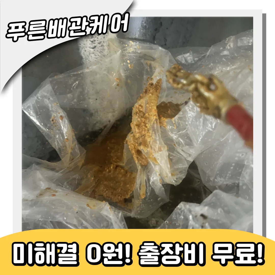 하수구역류해결