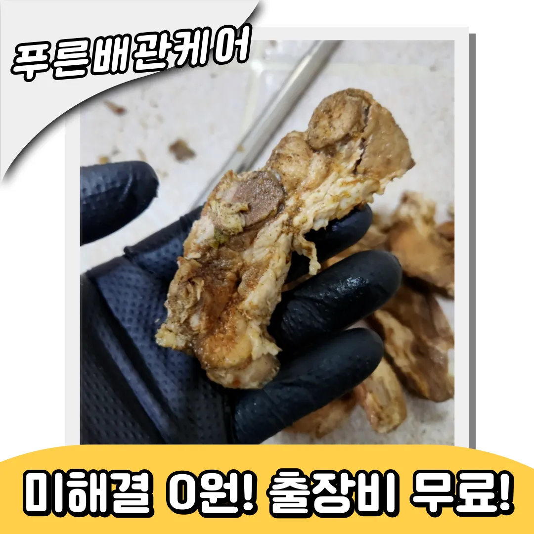변기이물질제거