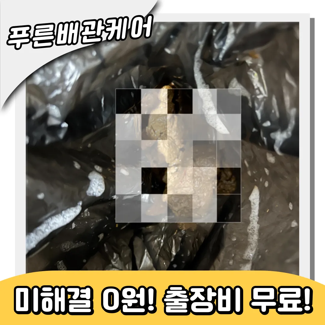 변기검은물역류