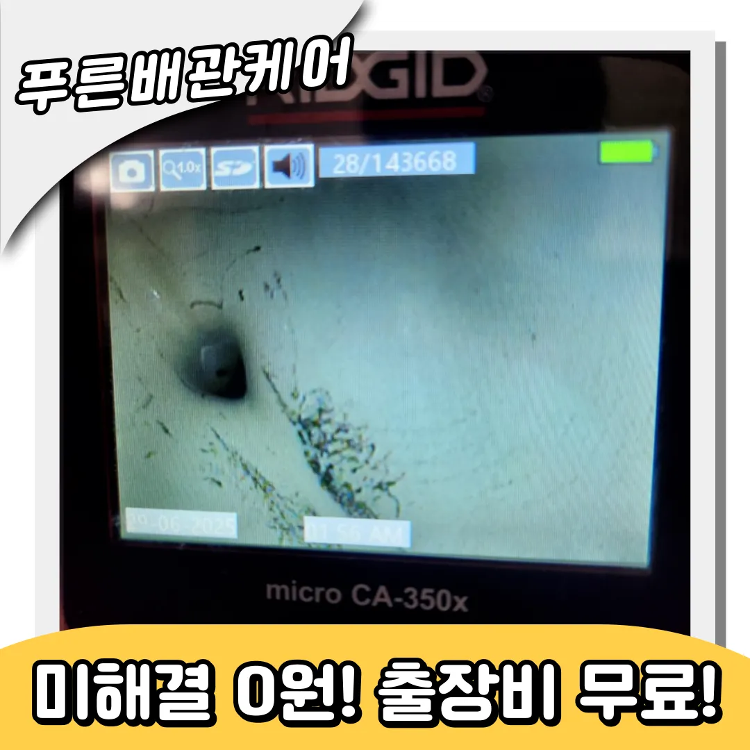 플라스틱이물질제거