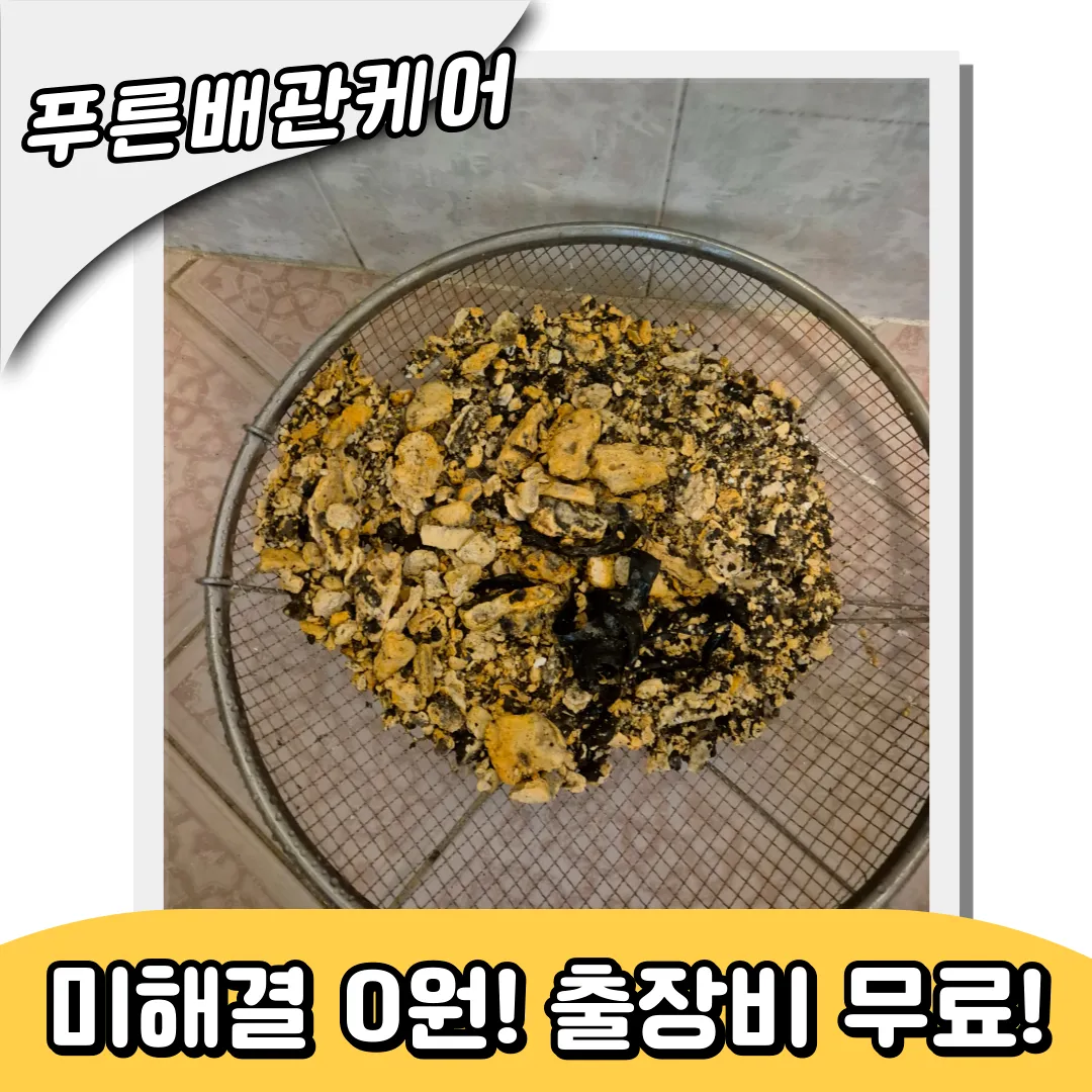 도화하수구막힘