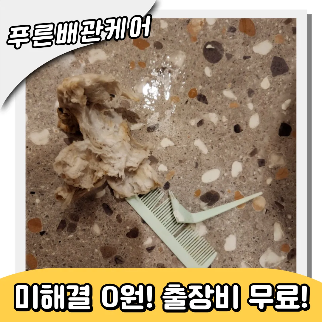 진광동변기막힘