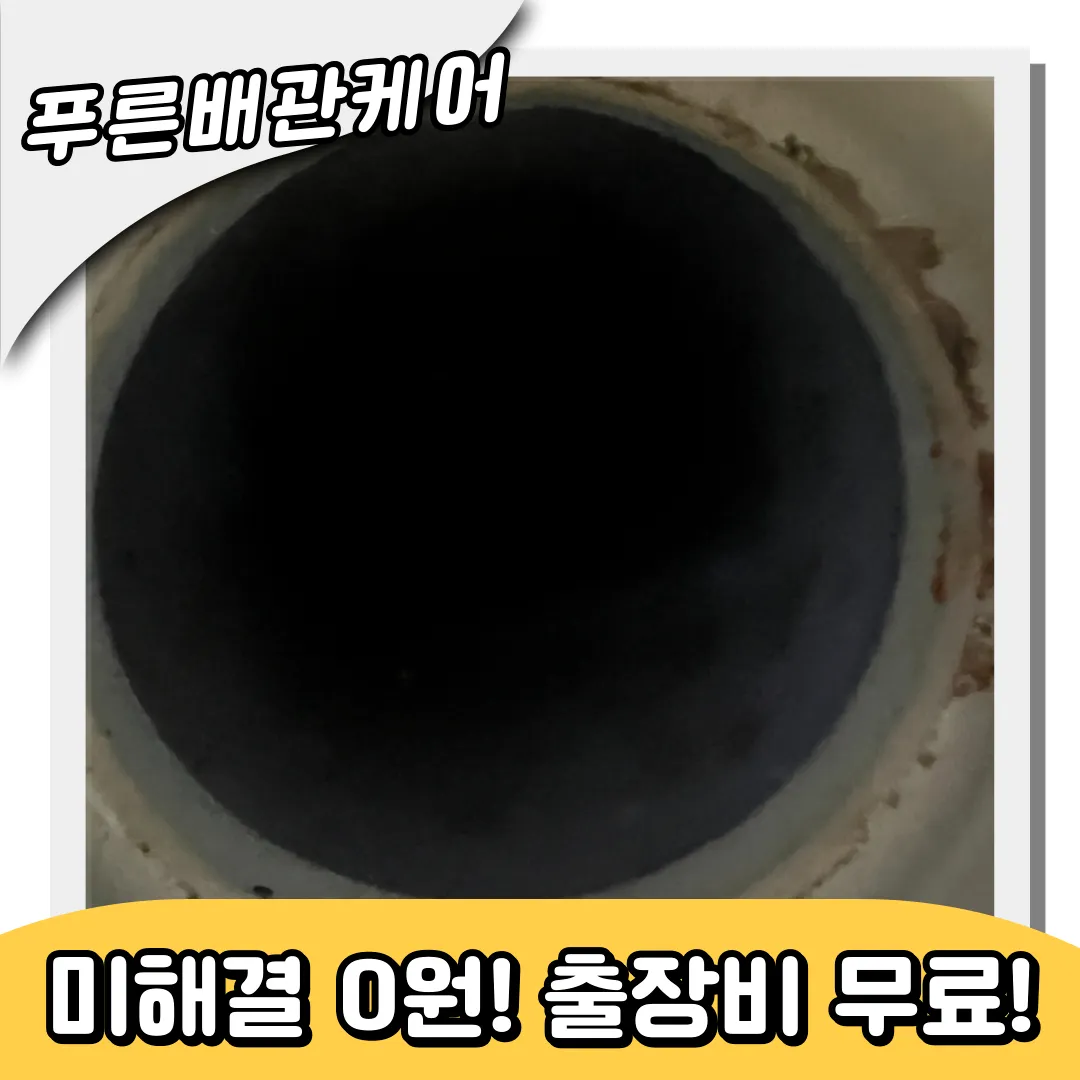 신월동하수구역류