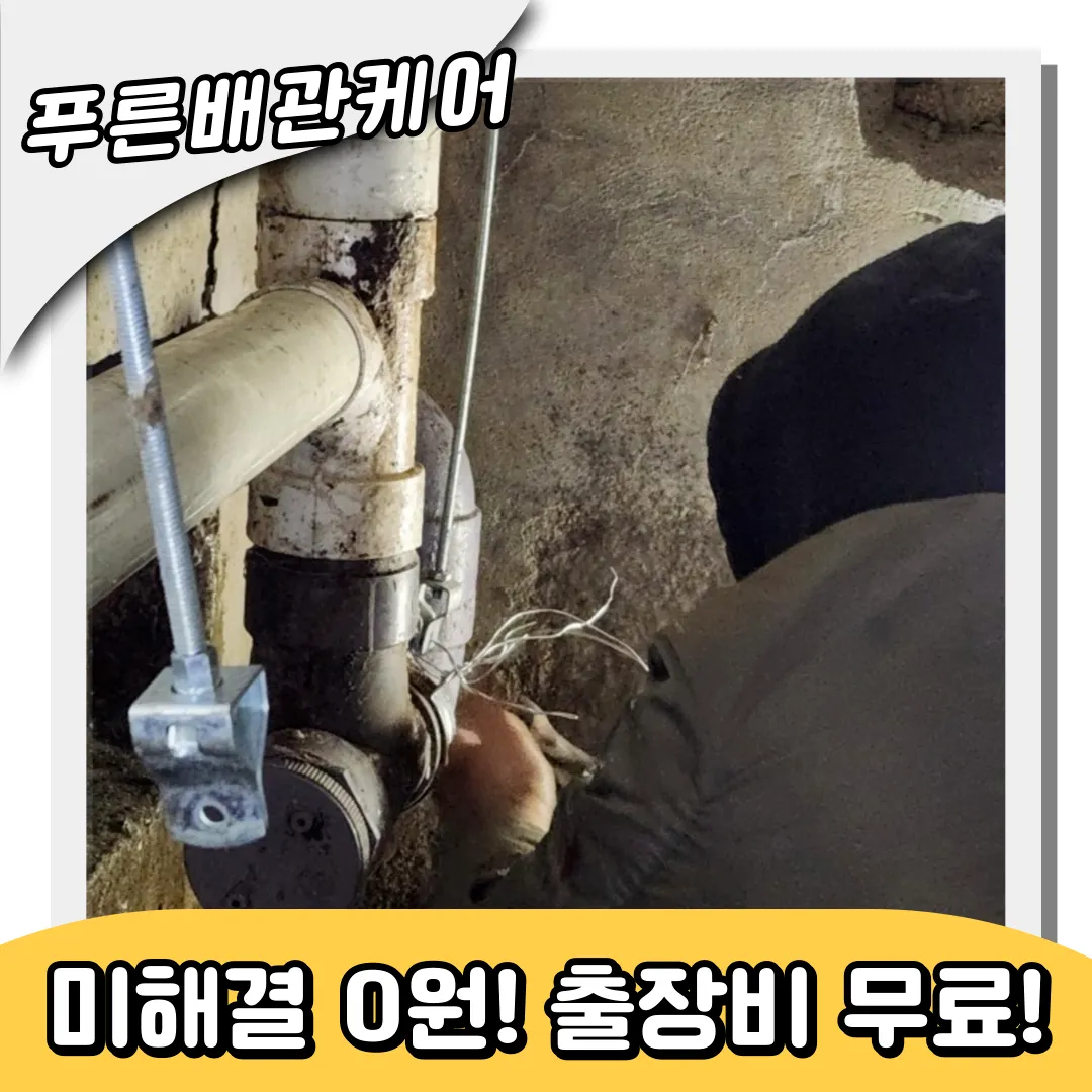 소사동하수구역류