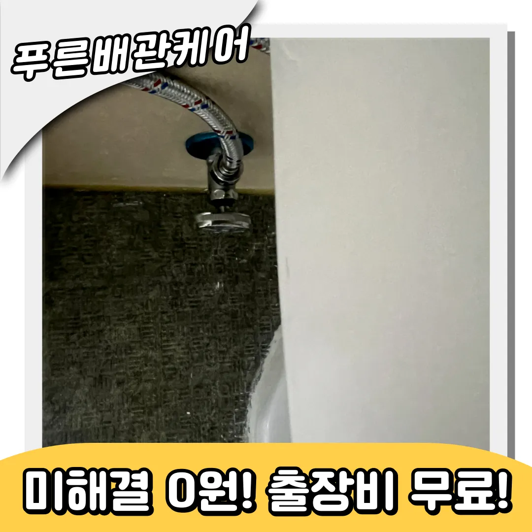 청라동변기역류