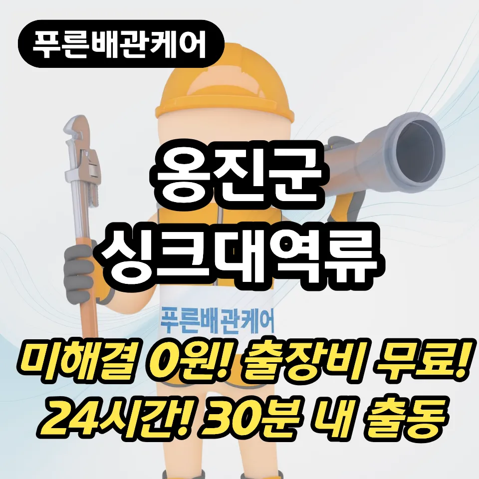 옹진군싱크대역류