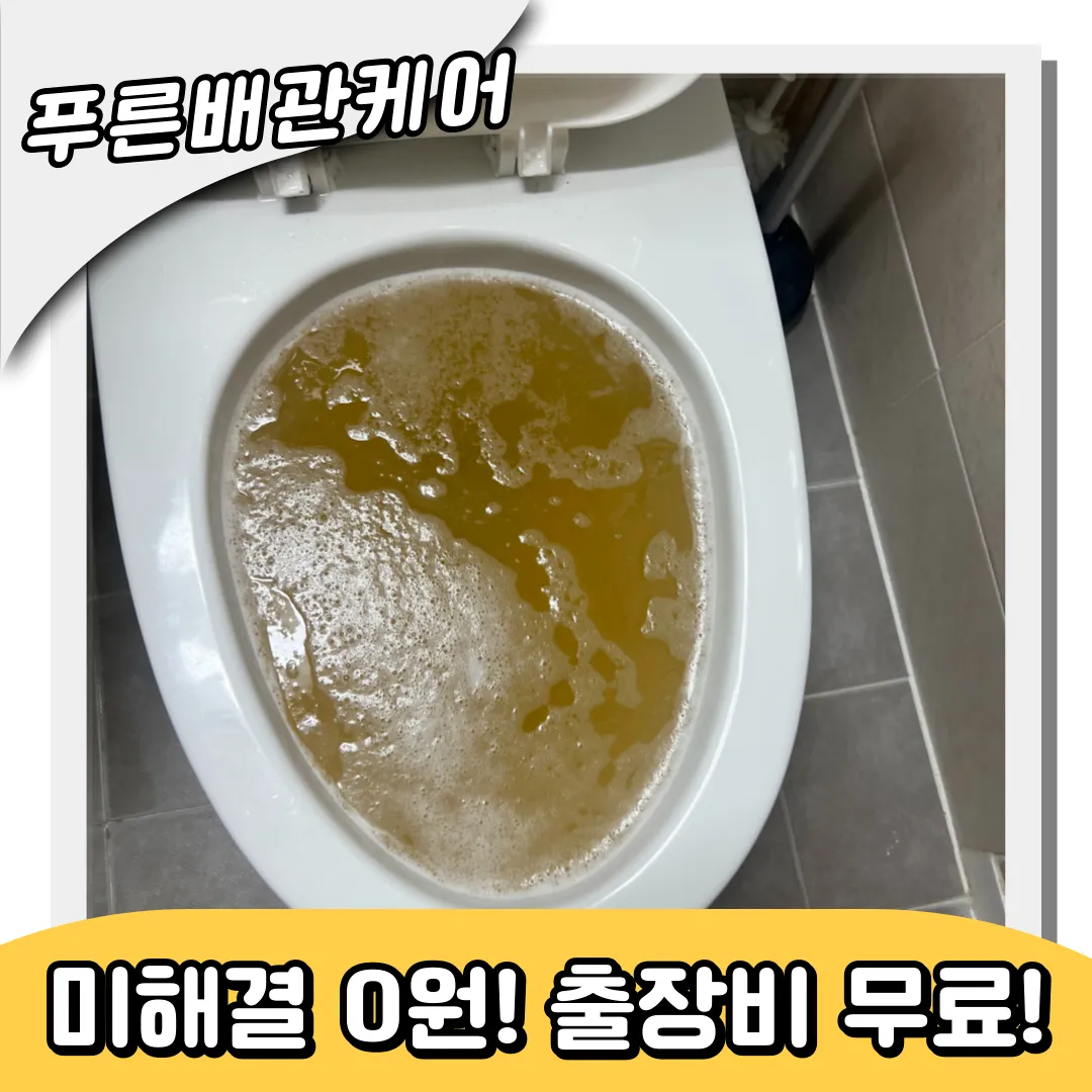 변기막힘