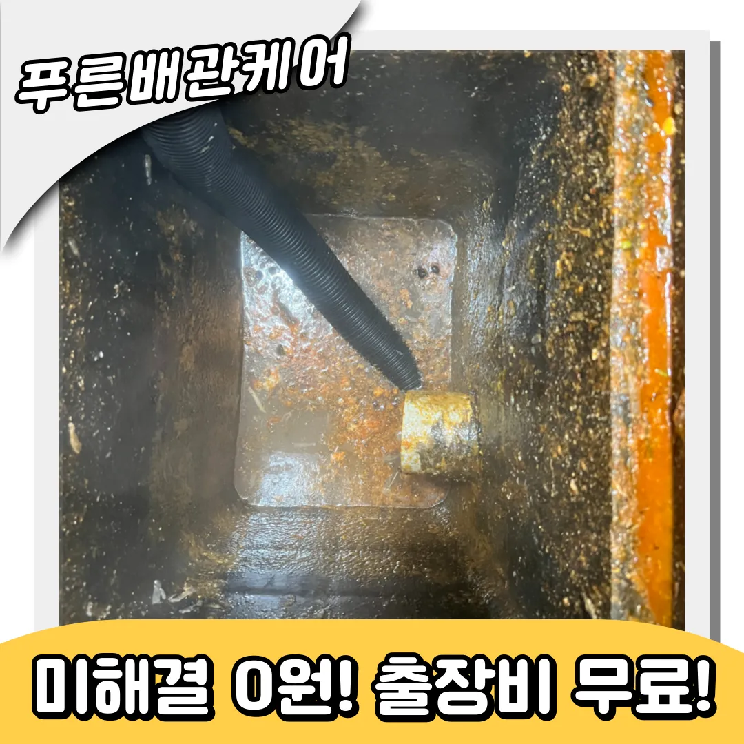 식당배관막힘