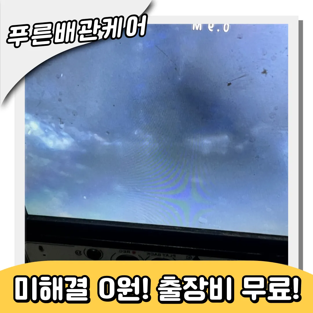 서교동변기역류