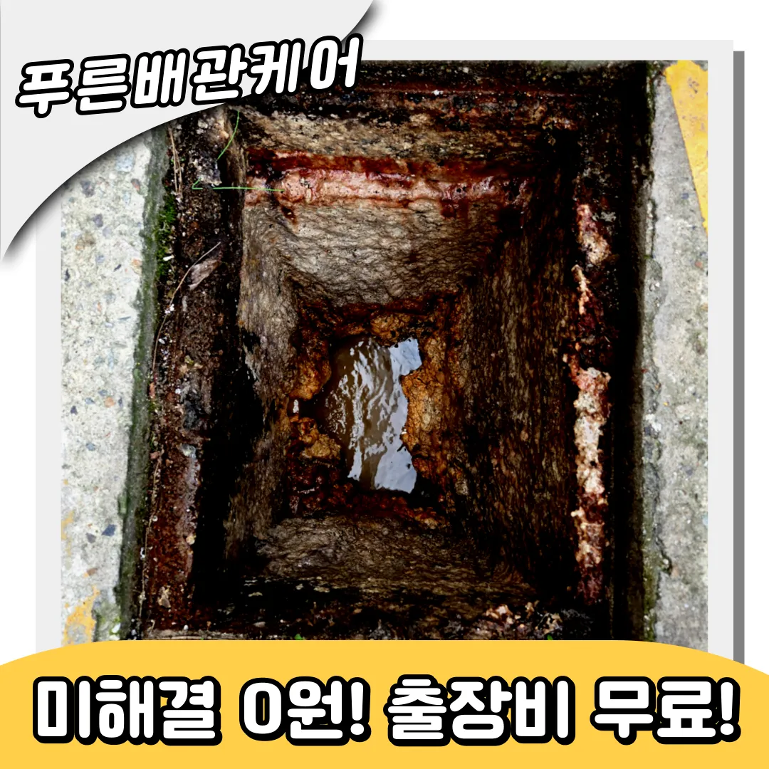 메인배관청소