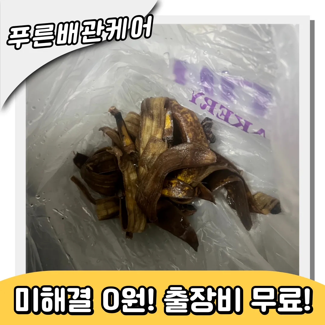 변기속음식물제거