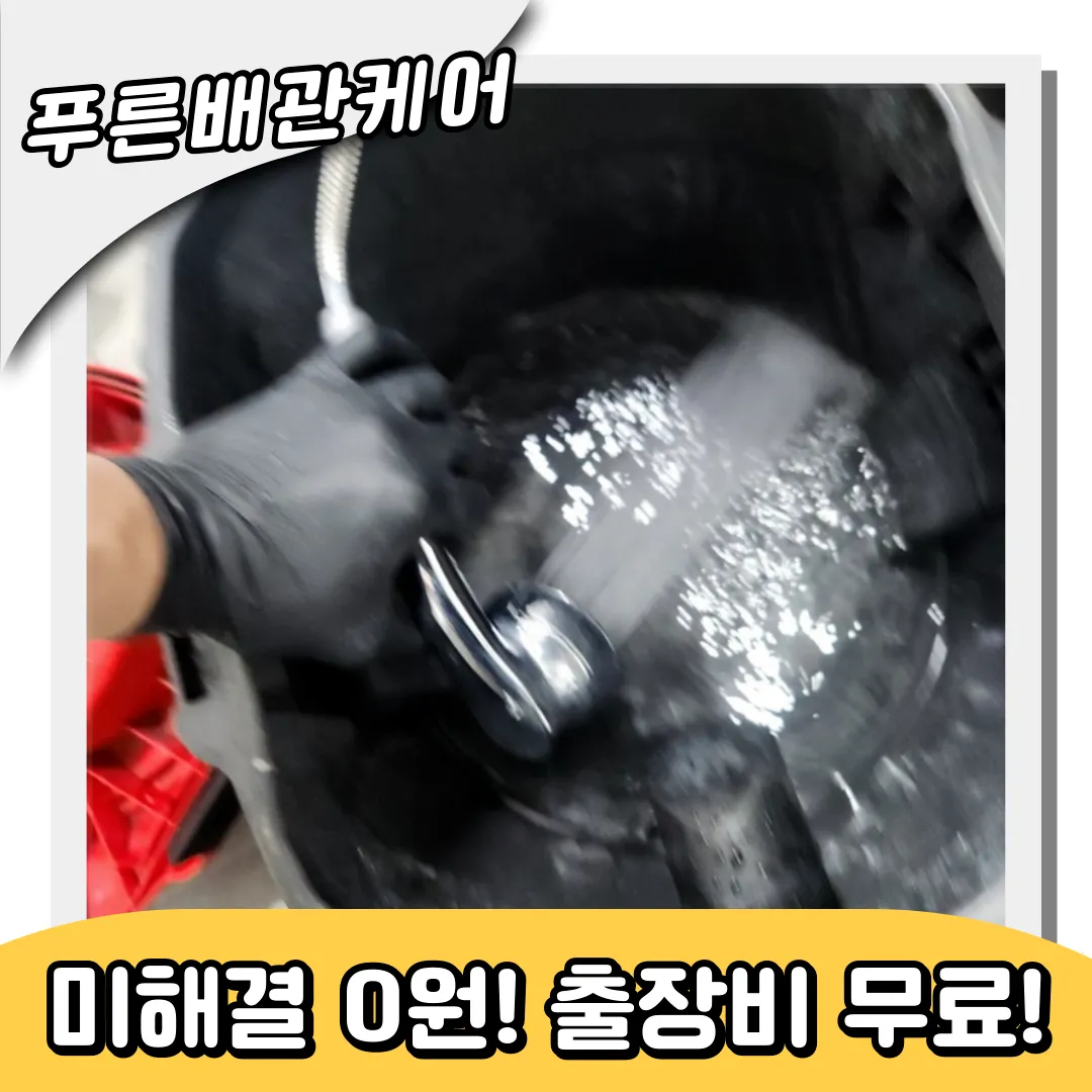 고양이모래막힘